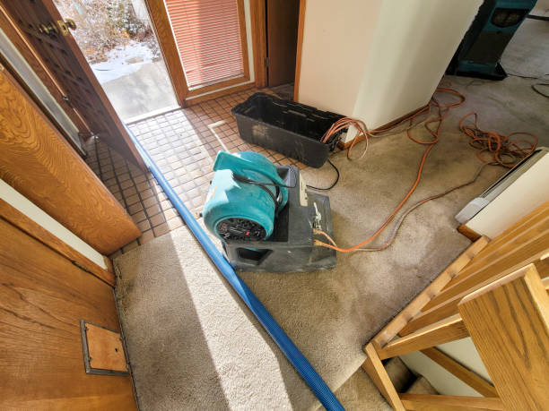 Best Water damage cleanup near me  in Brooklet, GA