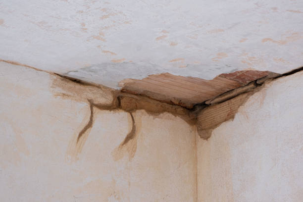  Brooklet, GA Water damage restoration Pros