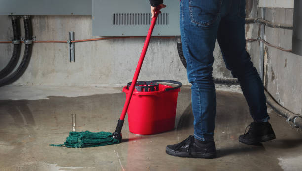 Best Emergency water damage restoration  in Brooklet, GA