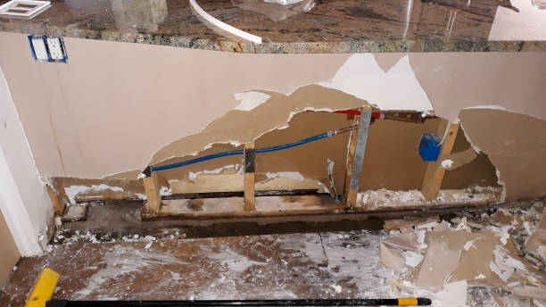 Best Flood damage cleanup  in Brooklet, GA