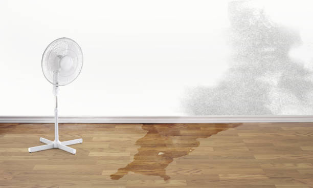 Best Flood restoration services  in Brooklet, GA