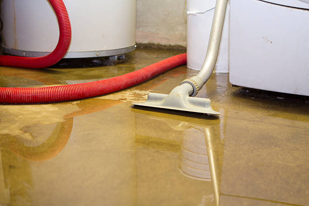 Best Water damage restoration experts  in Brooklet, GA