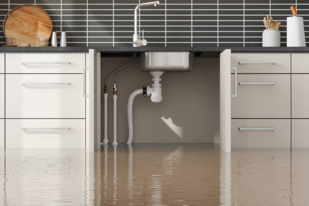 Best Fire Damage Restoration  in Brooklet, GA