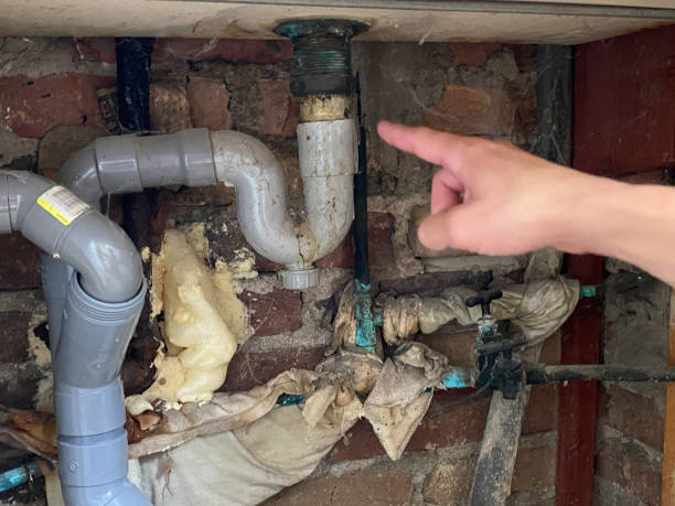 Best 24-hour water damage restoration  in Brooklet, GA