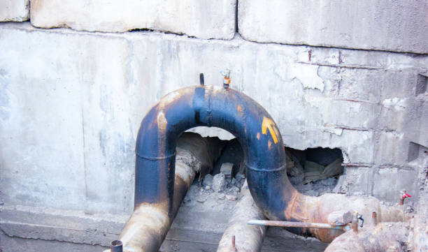 Best Professional water damage repair  in Brooklet, GA