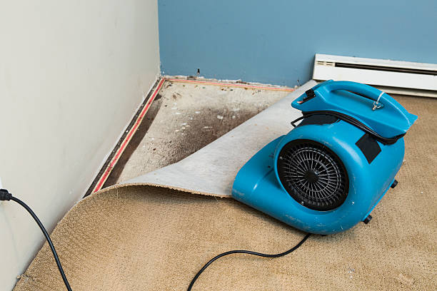 Best Water damage restoration process  in Brooklet, GA