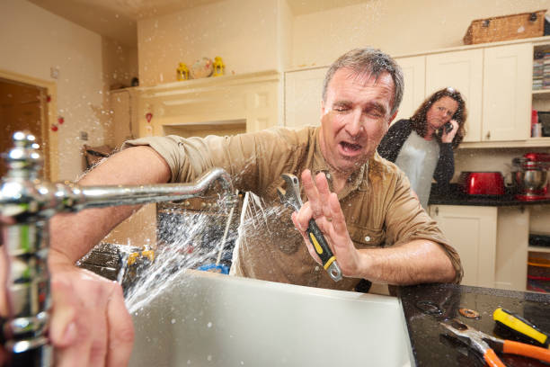 Best Water damage restoration company  in Brooklet, GA